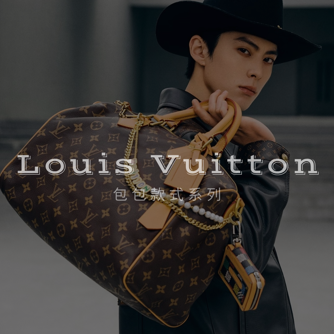 LOUIS VUITTON LV 包款