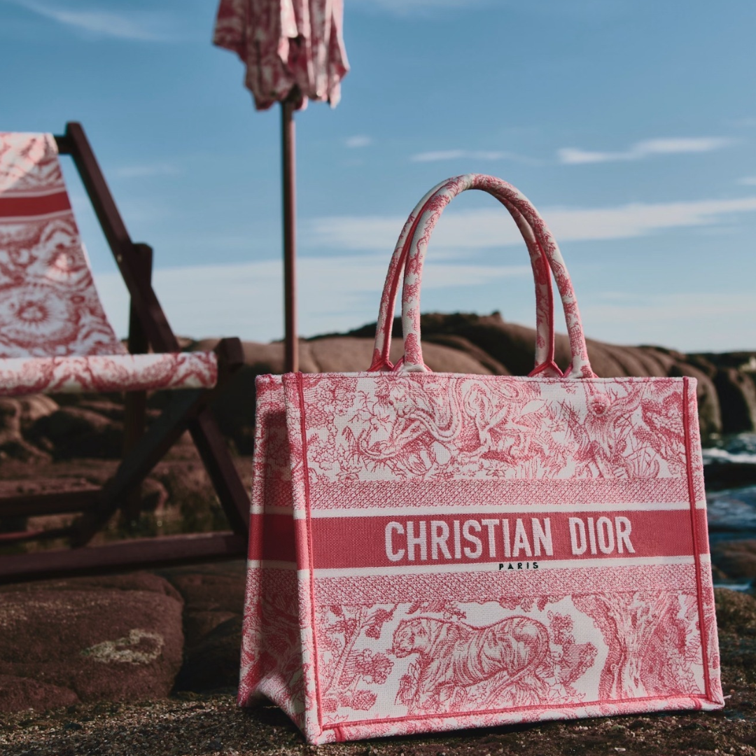 DIOR 包款