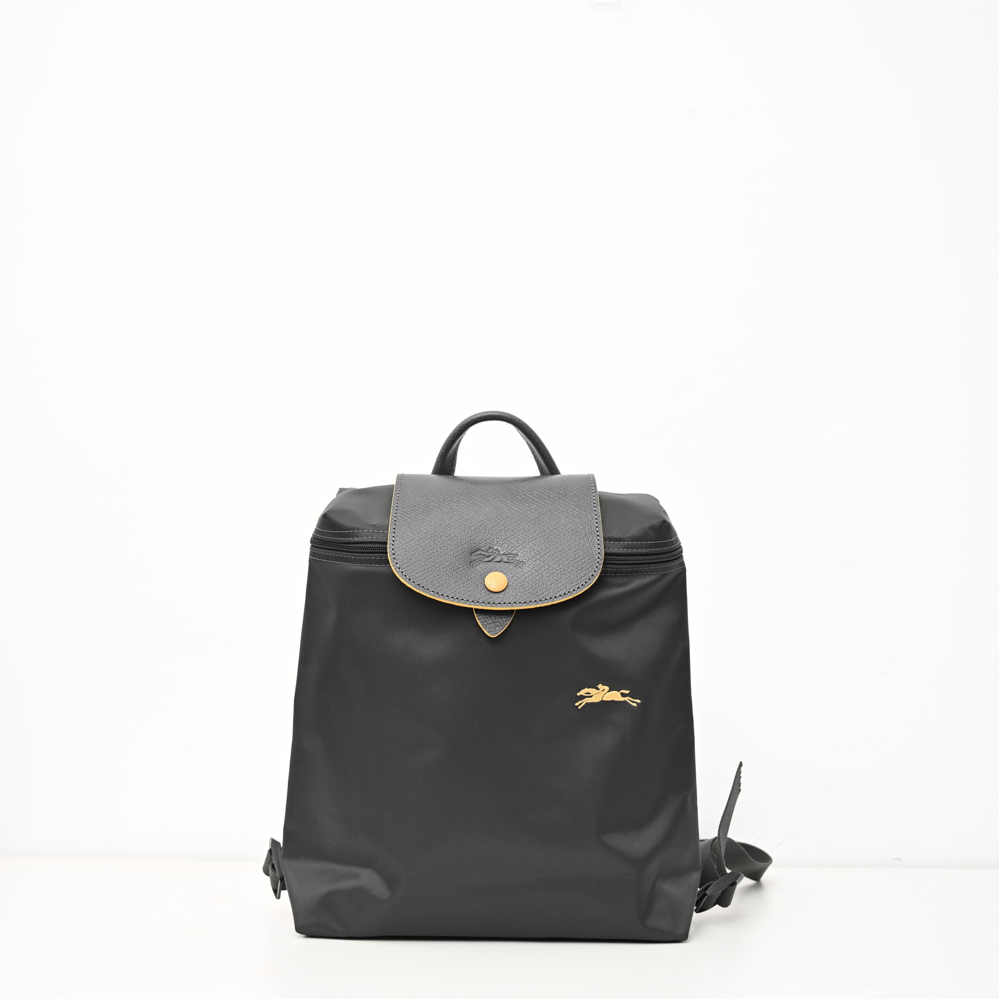 Longchamp 槍灰色（帶批金馬）