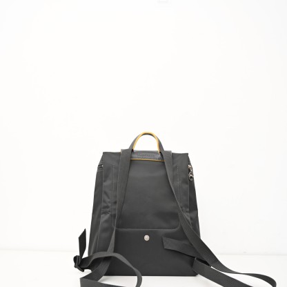 Longchamp 槍灰色（帶批金馬）