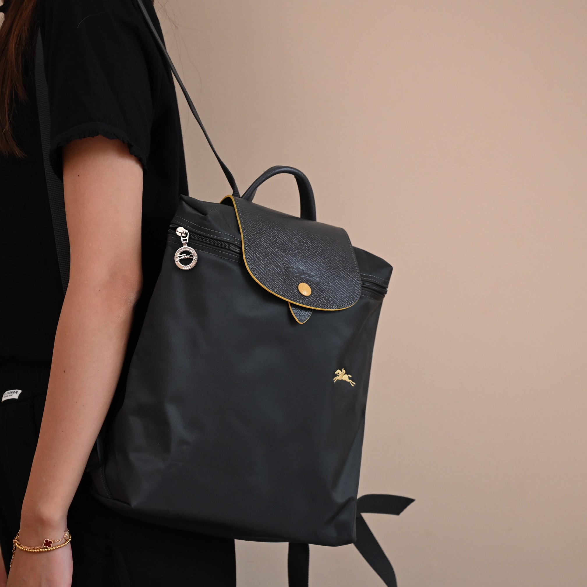 Longchamp 槍灰色（帶批金馬）