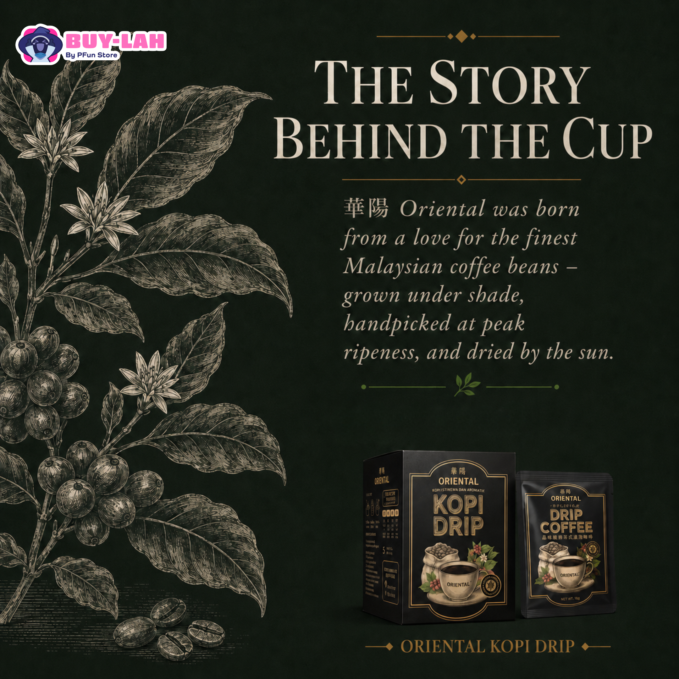 Oriental Kopi Drip |  Kopi Istimewa Dan Aromatik 