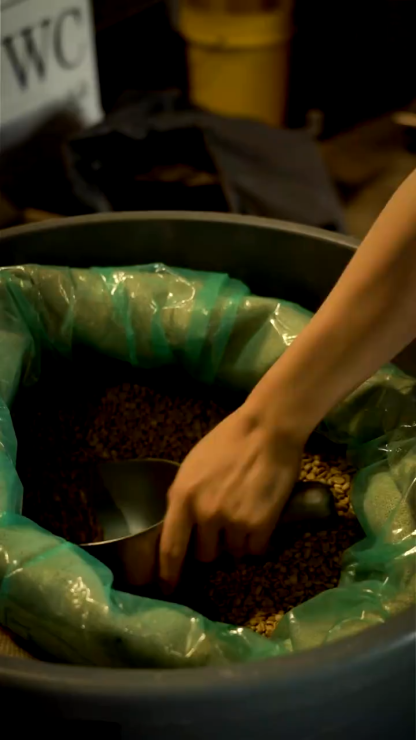 JWC Drip Coffee Box Caramel Popcorn