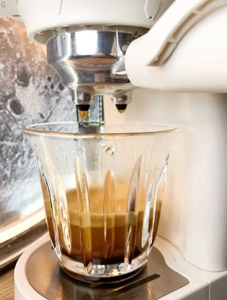 Japan Yohome Mini Professional Espresso Coffee Machine PRO｜Built-in Grinder & Milk Frother