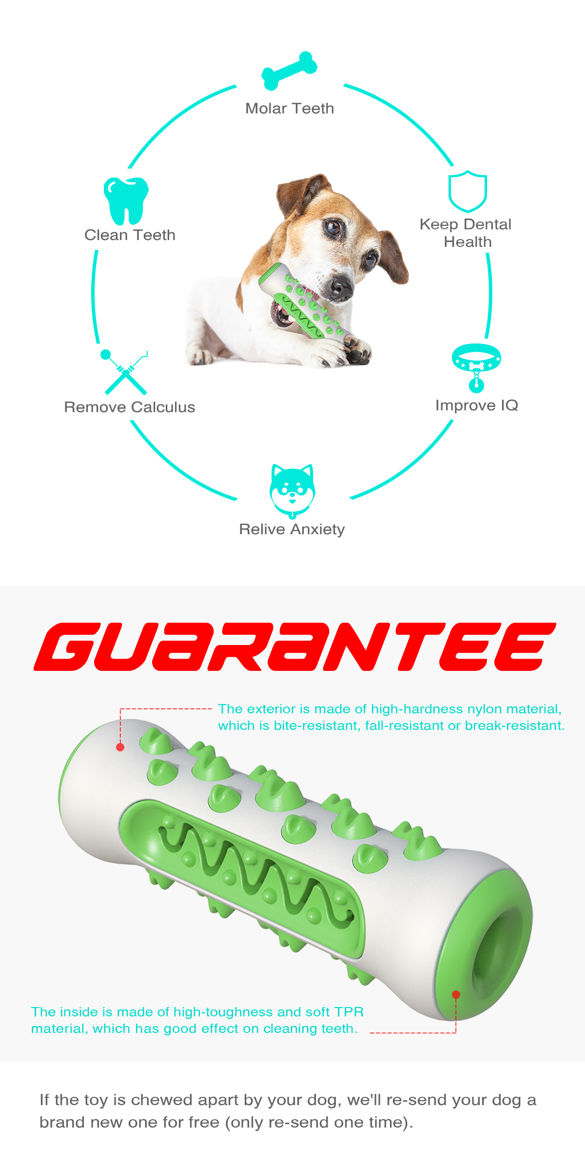 Bone Dog toothbrush/For Dogs (Medium and large dogs)