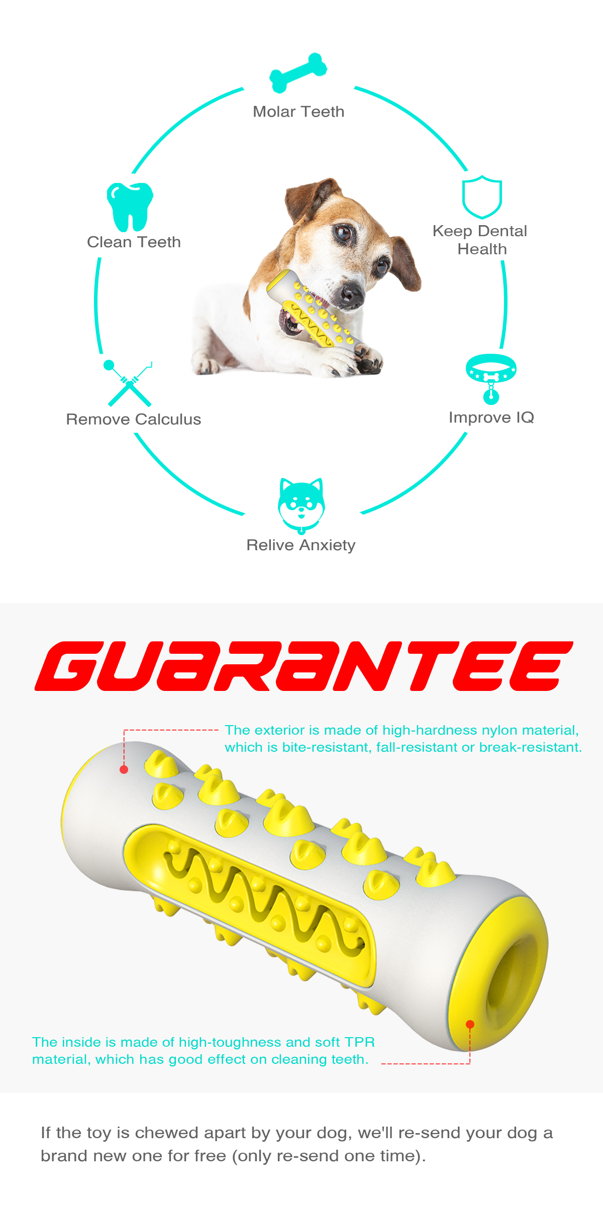 Bone Dog toothbrush/For Dogs (Medium and large dogs)