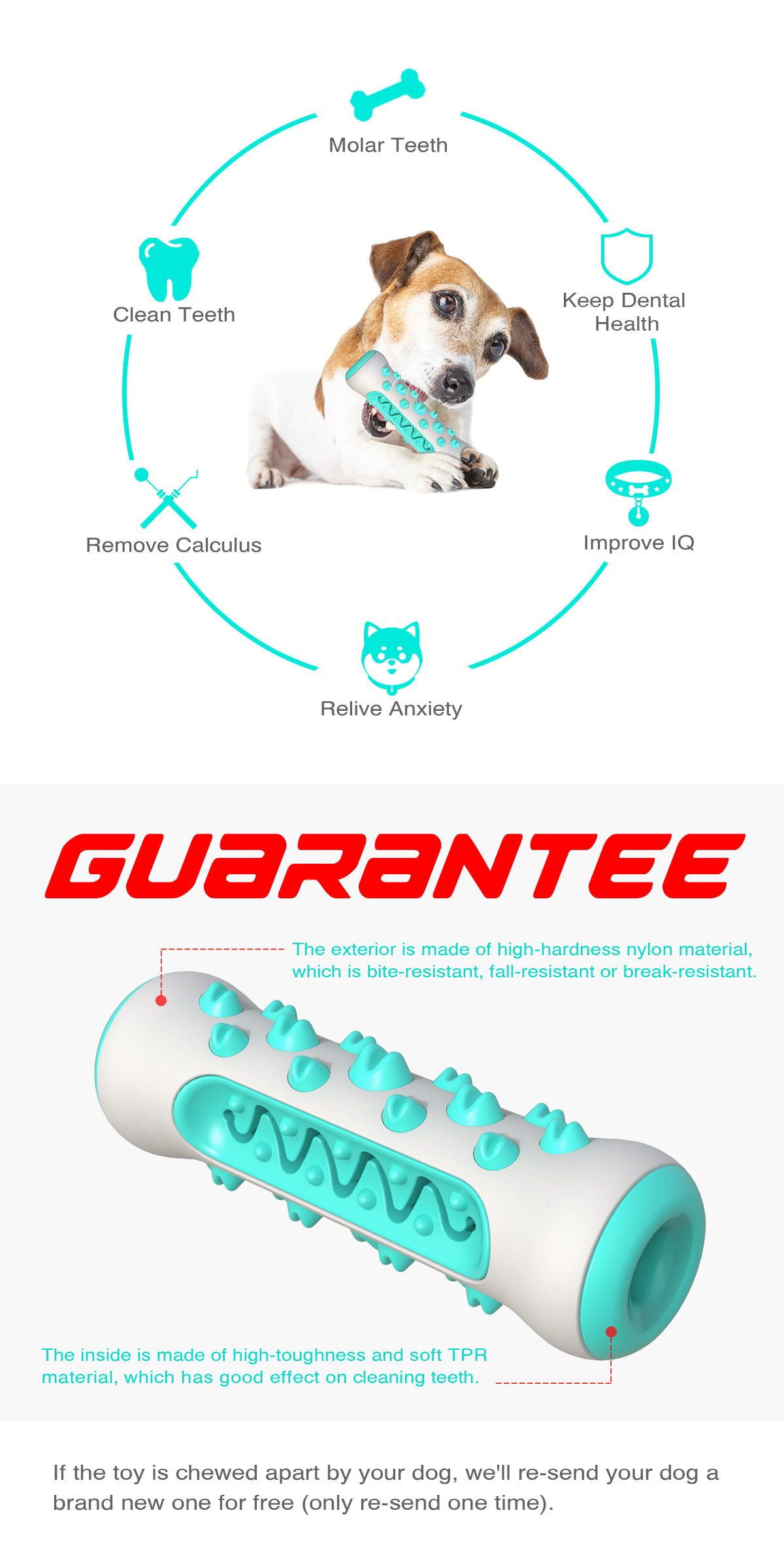 Bone Dog toothbrush/For Dogs (Medium and large dogs)