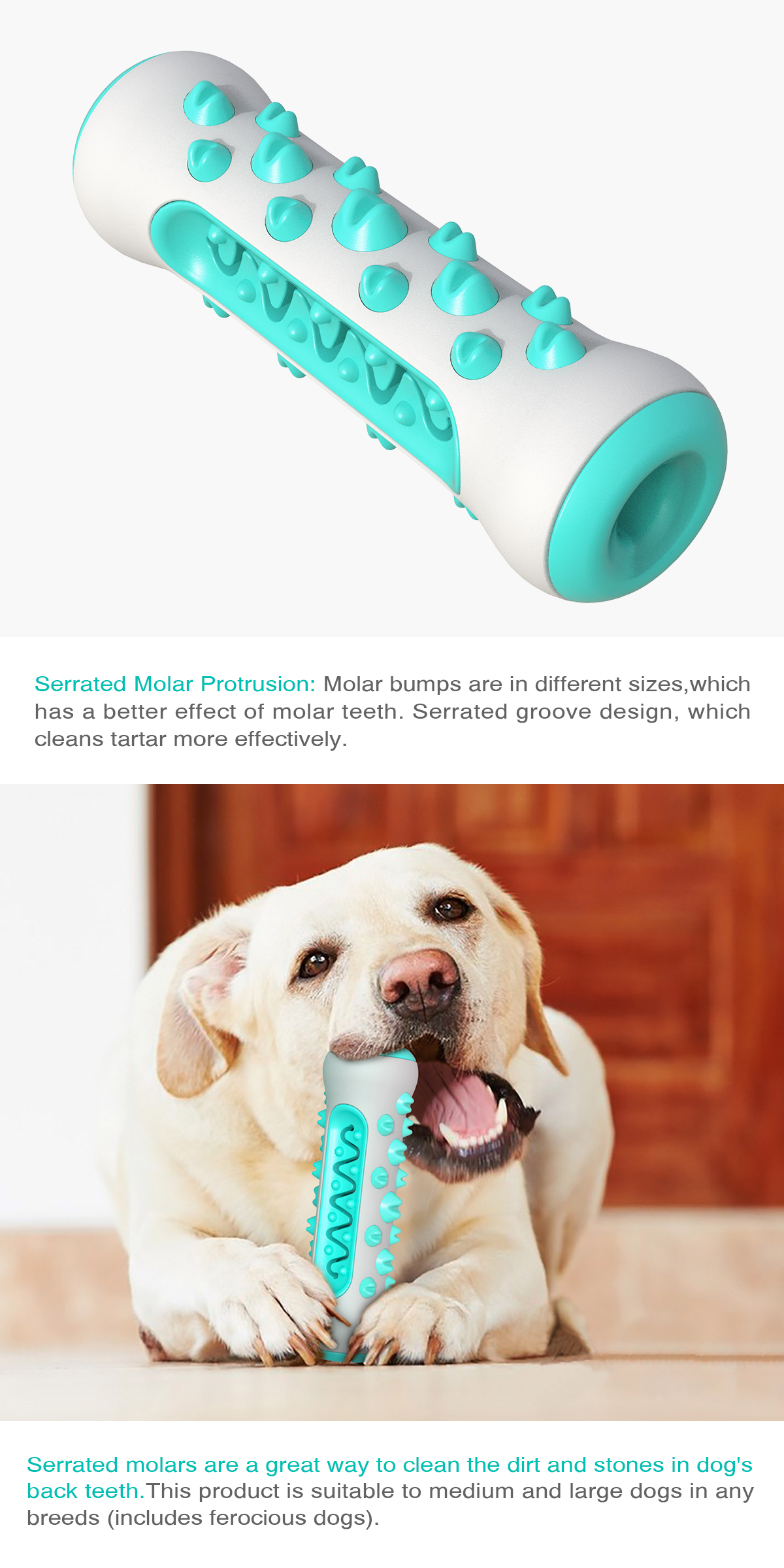 Bone Dog toothbrush/For Dogs (Medium and large dogs)