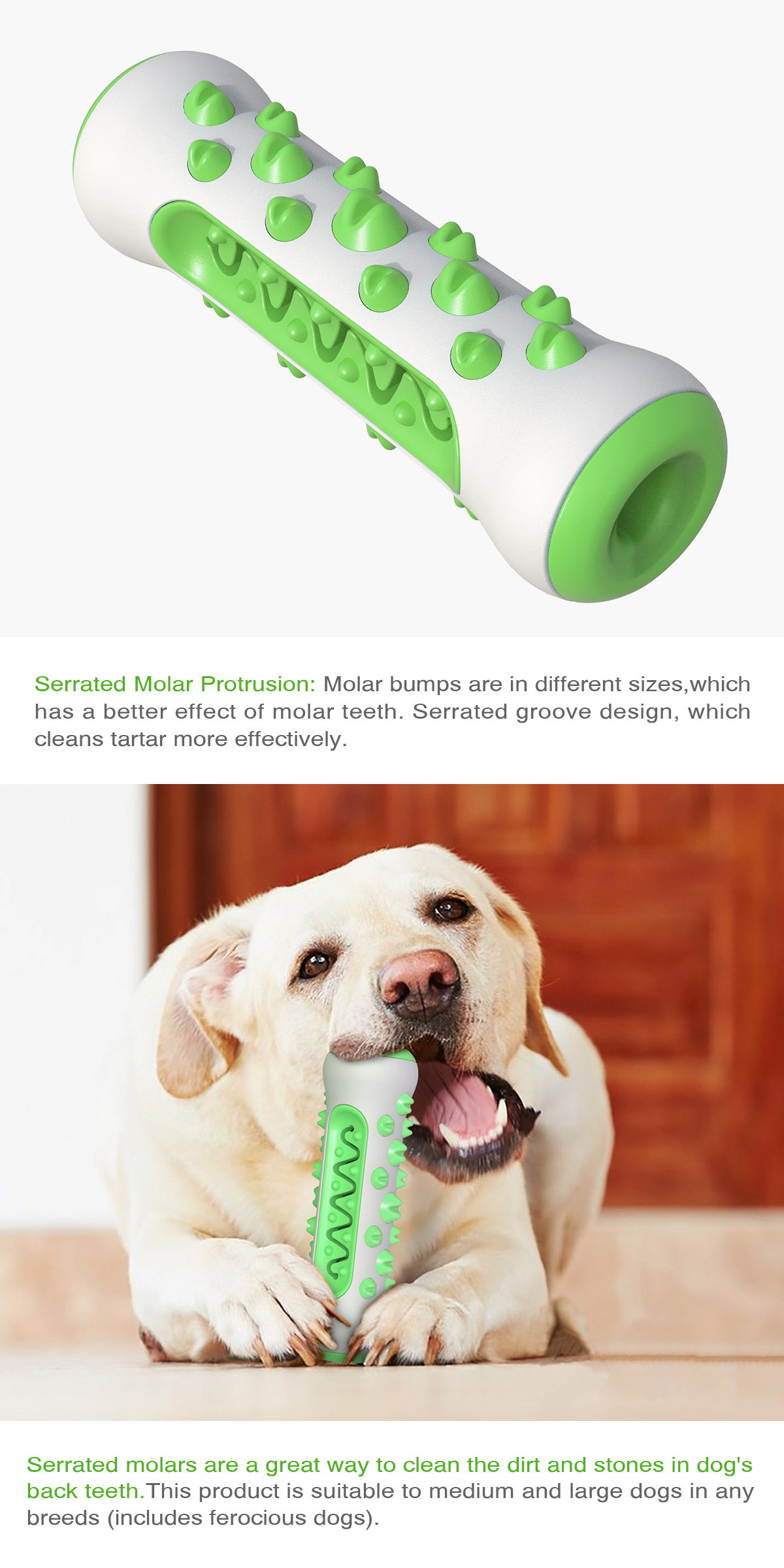 Pawland Vocal Teething Ball / Toothbrush (For dogs)