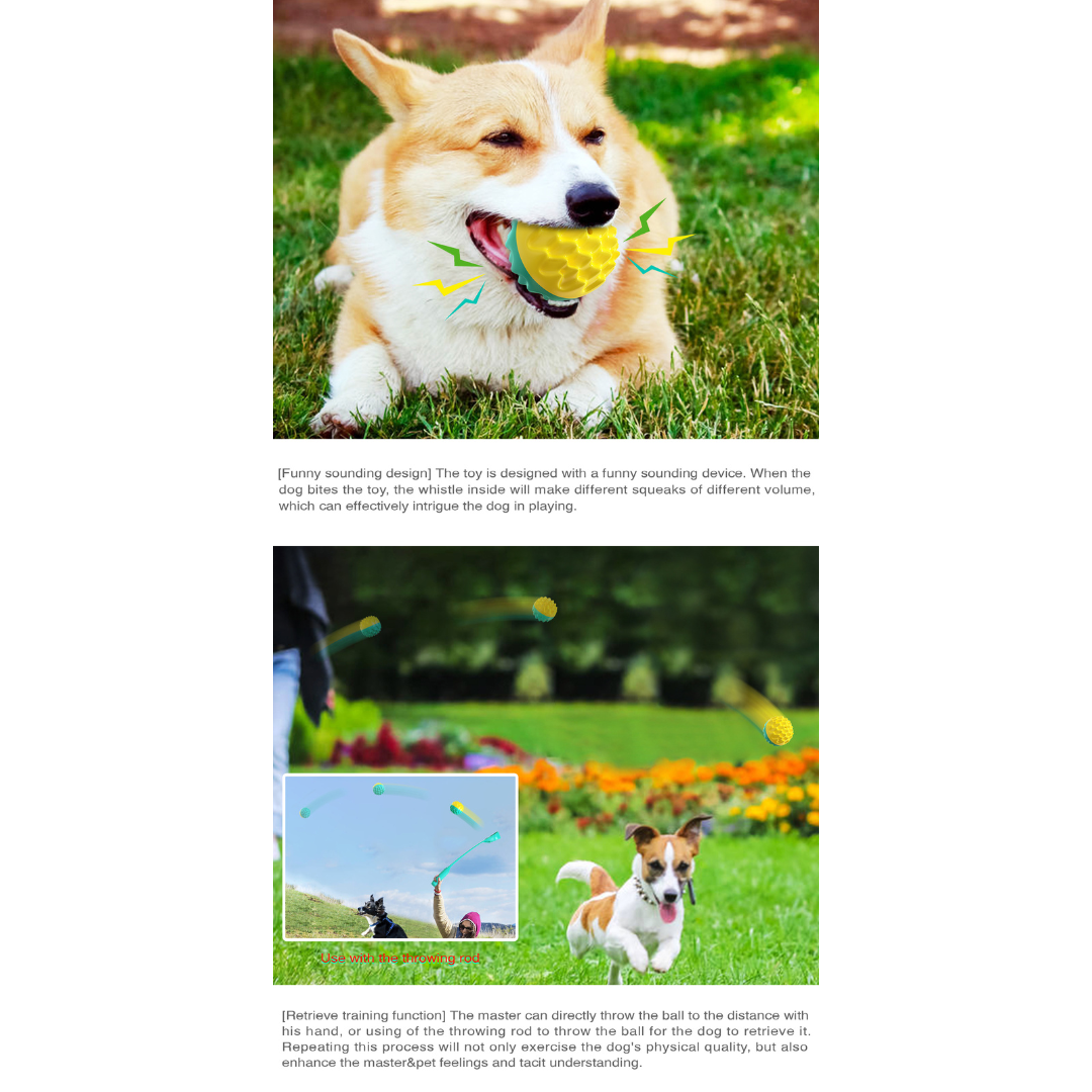 PawFect Vocal teething ball/For dogs