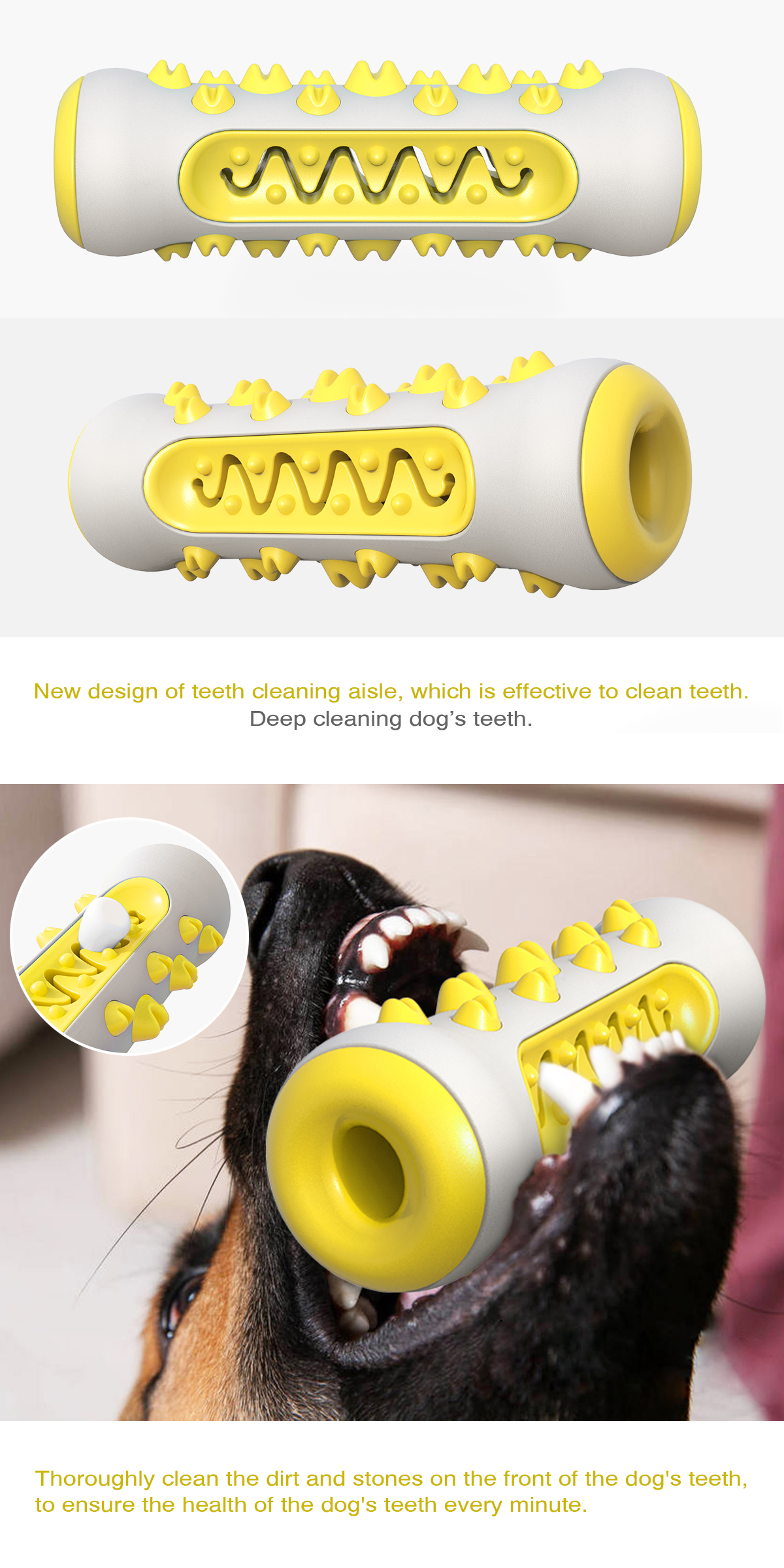 Pawland Vocal Teething Ball / Toothbrush (For dogs)