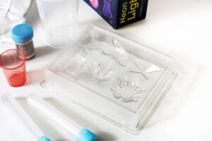 Thames & Kosmos Neon Glow Experiments Kit – STEM Science Lab Singapore – Glow‑in‑Dark Neon Chalk & UV Experiments for Kids 8+