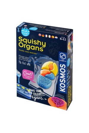 Squishy Organs