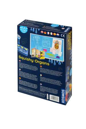 Squishy Organs