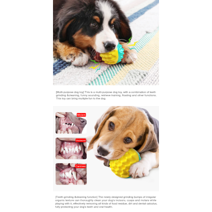 PawFect Vocal teething ball/For dogs