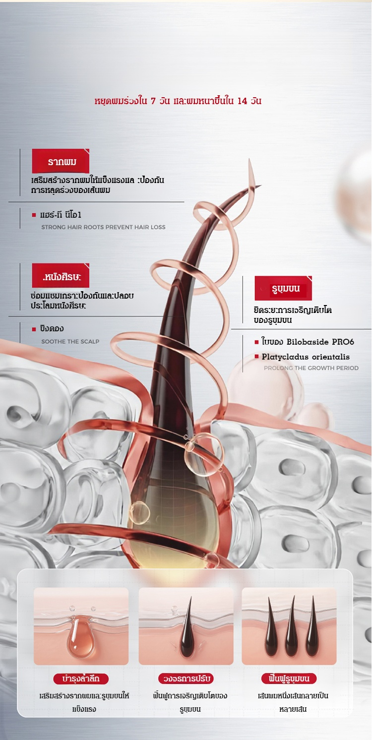 【✨หยุดผมร่วง  ความลับผมหนากลับคืน】สเปรย์พืชสกัดจากธรรมชาติ