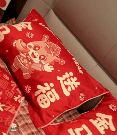 Honeycam 2025-12-18 17-50-28.gif