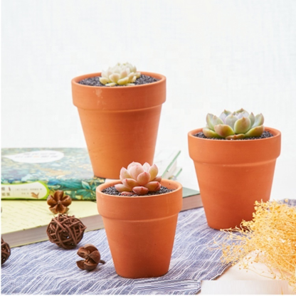 테라코타 다육식물 화분