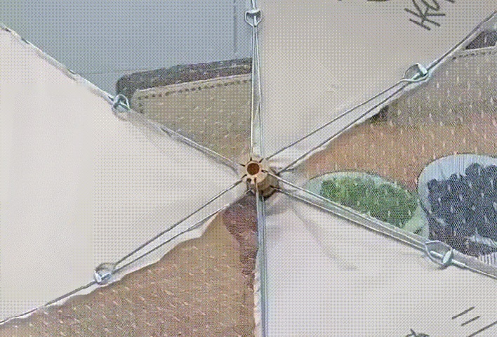 8.gif