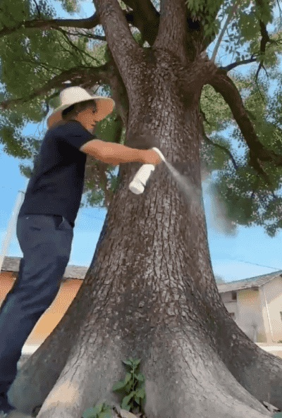 翻译件-HFH-杂草杂竹一喷净-1368354_09.gif