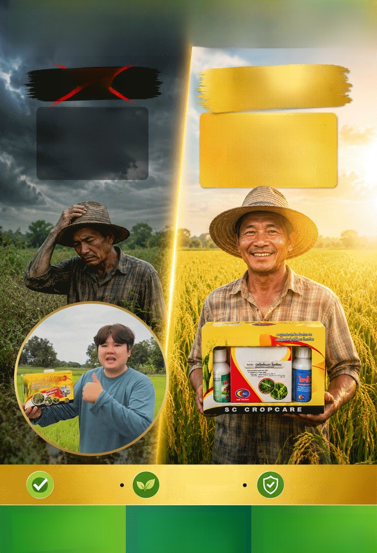 สารกำจัดวัชพืชผสมในนาข้าว ตกชุดละไม่ถึง 235 บาท! แลกกับการกวาดล้างหญ้าร้ายหมดนา! โคตรคุ้มค่าที่สุดในฤดูกาลทำนา!