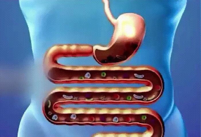 39f3e6f76dbe828c0192ed4ad383e108.gif
