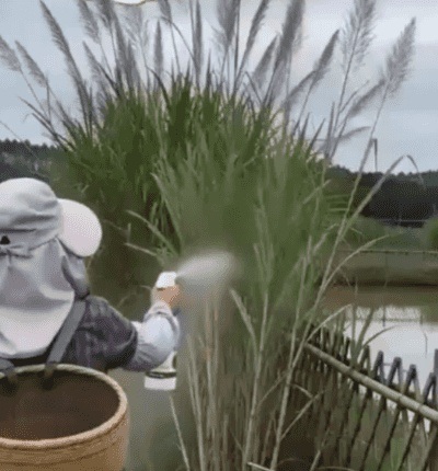 翻译件-HFH-杂草杂竹一喷净-1368354_18.gif