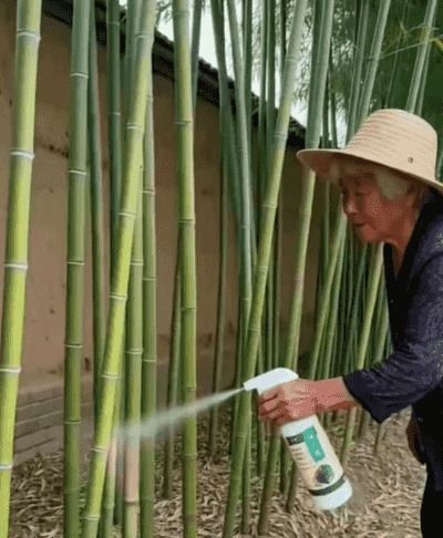 翻译件-HFH-杂草杂竹一喷净-1368354_16.gif