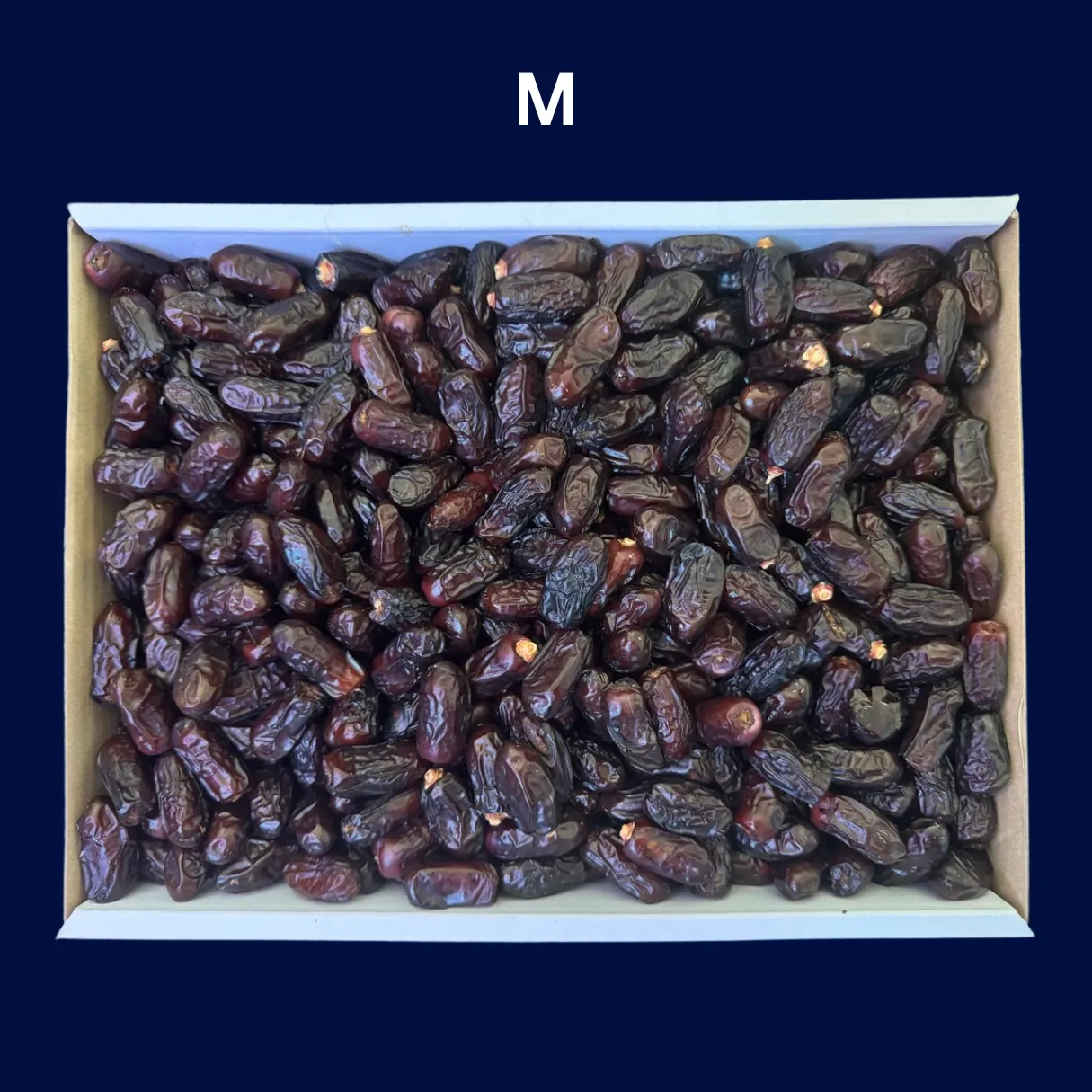 Kareem Kurma Premium Safawi M [5kg] – Diimport dari Madinah, Stok Baru