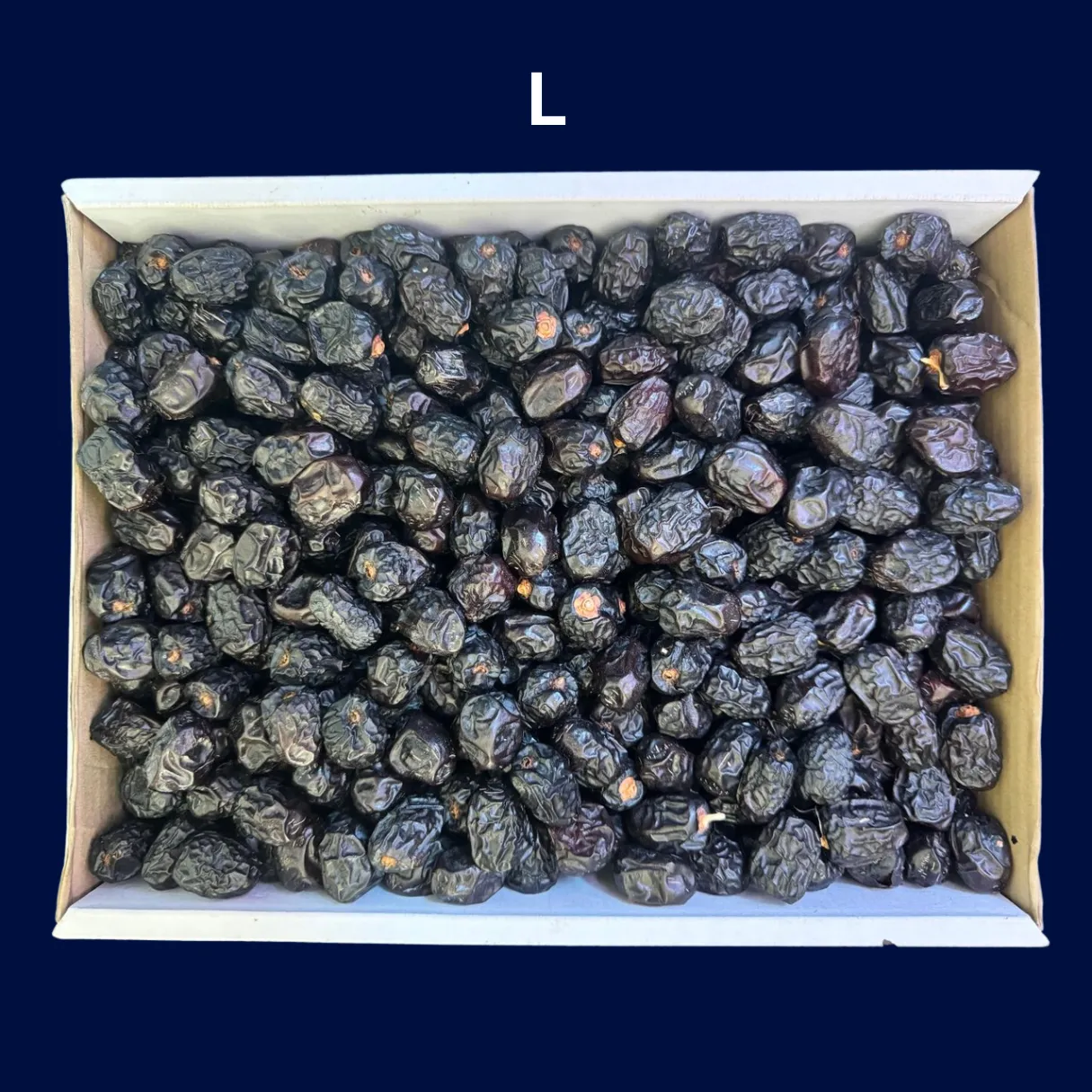 Kareem Kurma Ajwa Premium L [5kg] – Diimport dari Madinah, Stok Baru