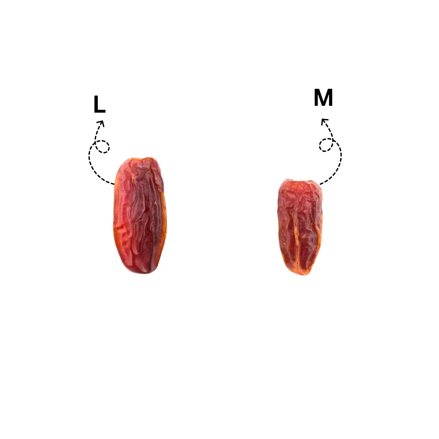 KAREEM KURMA PREMIUM MABROOM Mix L [ 5kg ] DIIMPORT DARI MADINAH - STOK BARU