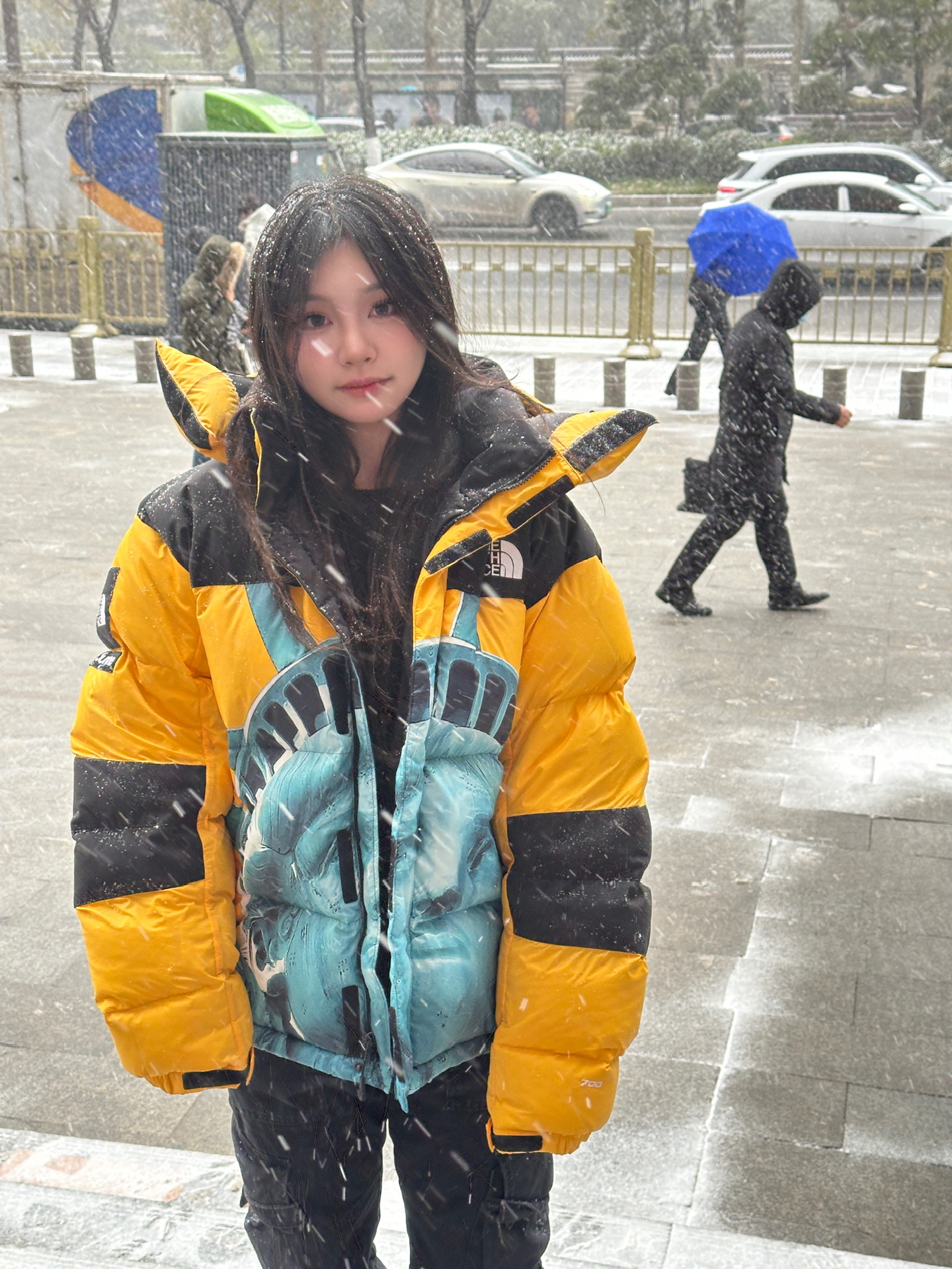 【希少】Supreme®/The North Face® Statue of Liberty Baltoro Jacket