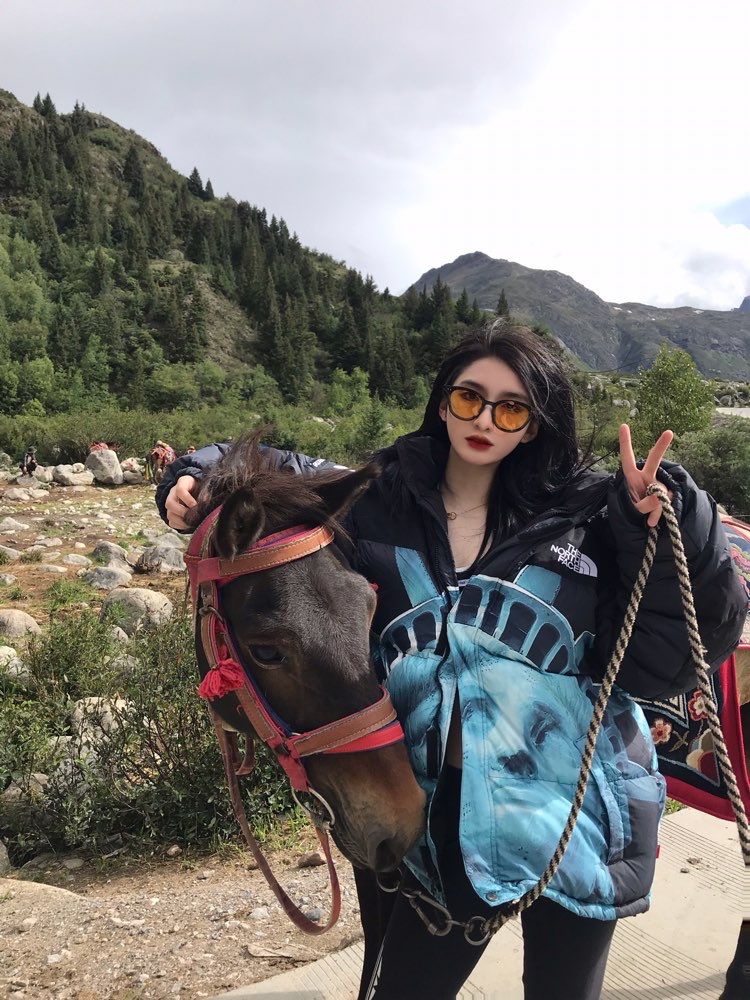 【希少】Supreme®/The North Face® Statue of Liberty Baltoro Jacket