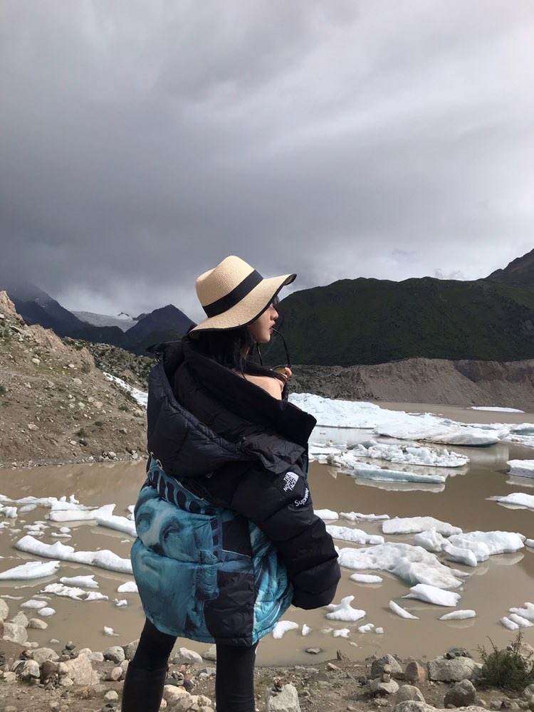 【希少】Supreme®/The North Face® Statue of Liberty Baltoro Jacket