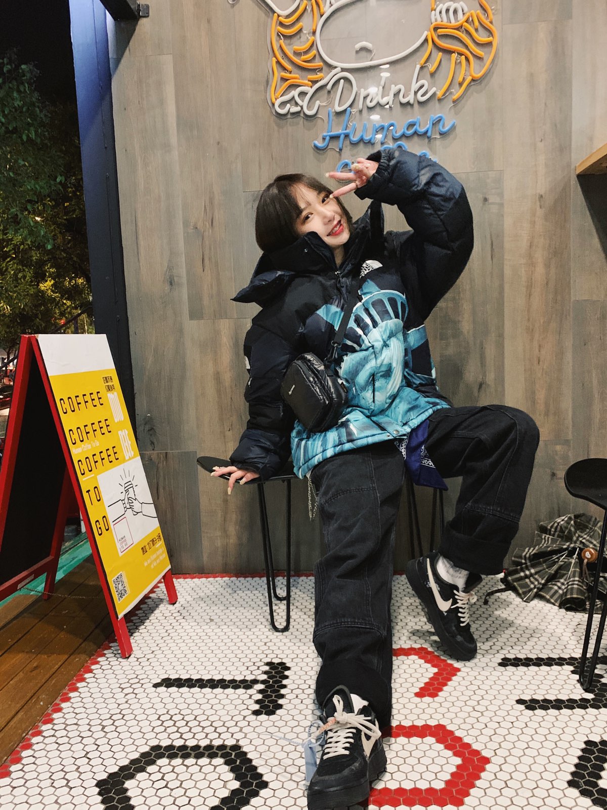 【希少】Supreme®/The North Face® Statue of Liberty Baltoro Jacket