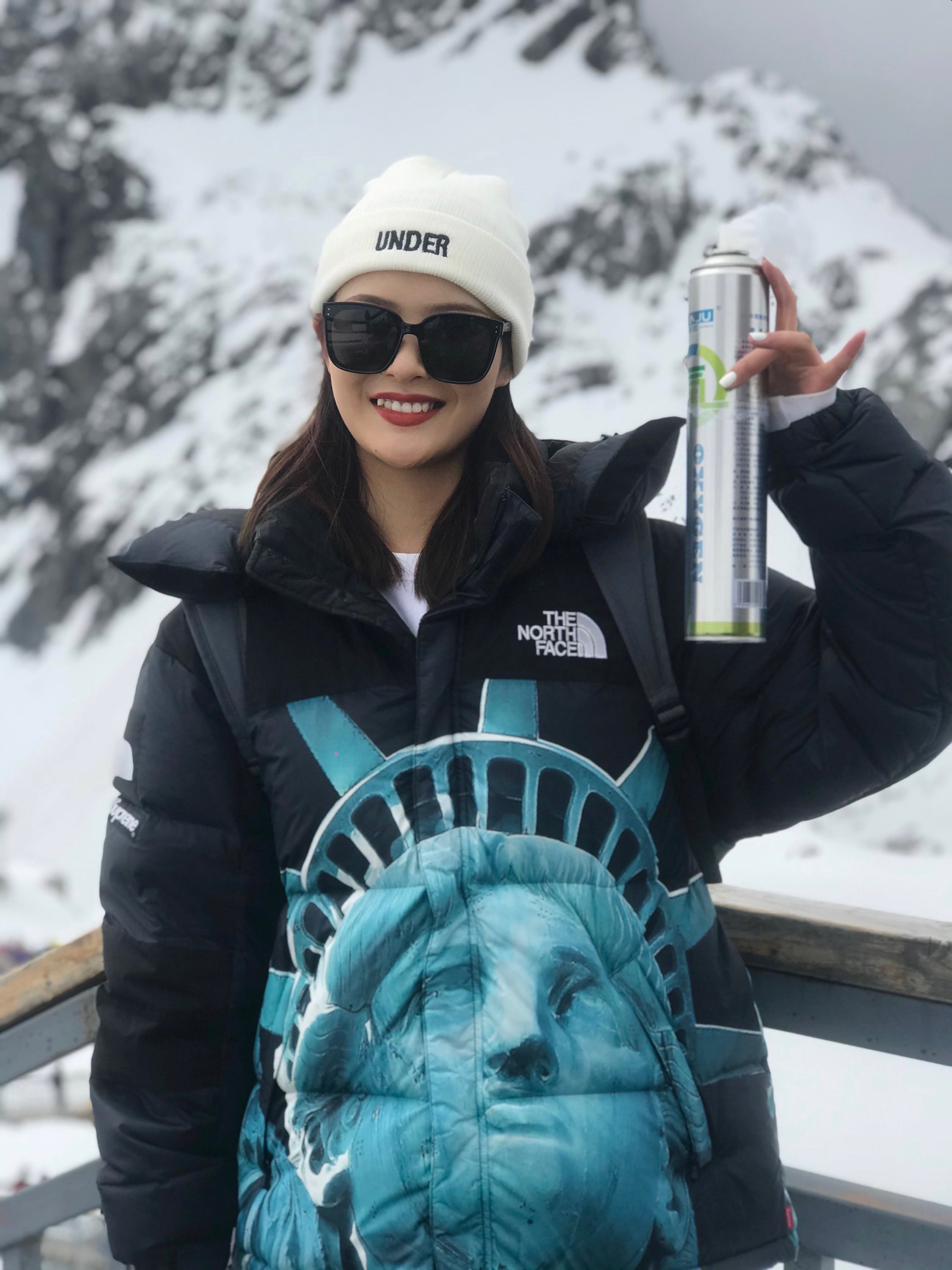 【希少】Supreme®/The North Face® Statue of Liberty Baltoro Jacket