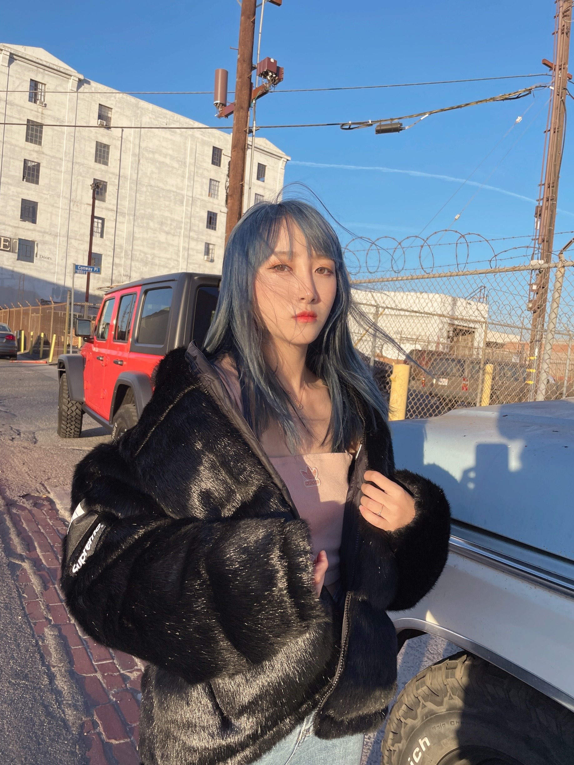 Supreme®/The North Face® Faux Fur Nuptse Jacket