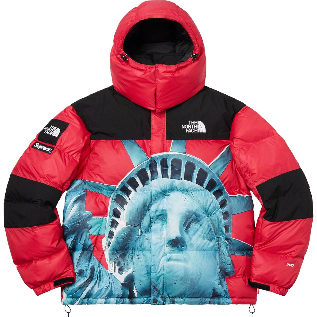【希少】Supreme®/The North Face® Statue of Liberty Baltoro Jacket