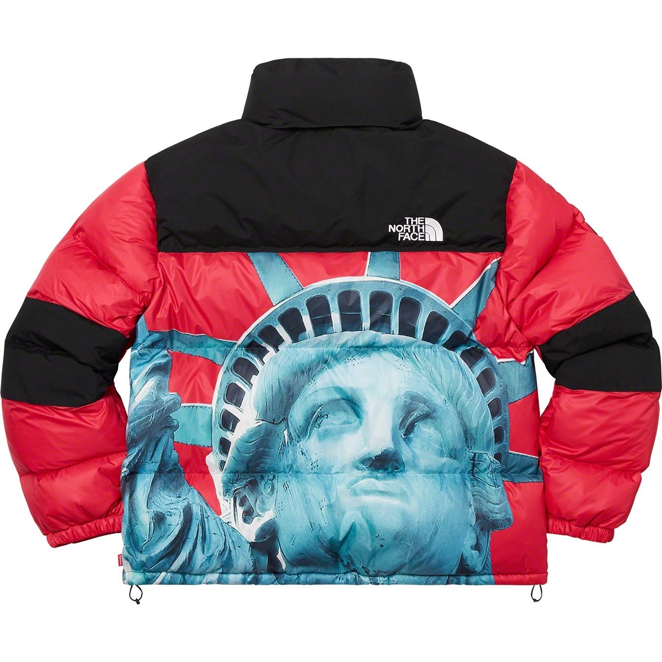 【希少】Supreme®/The North Face® Statue of Liberty Baltoro Jacket