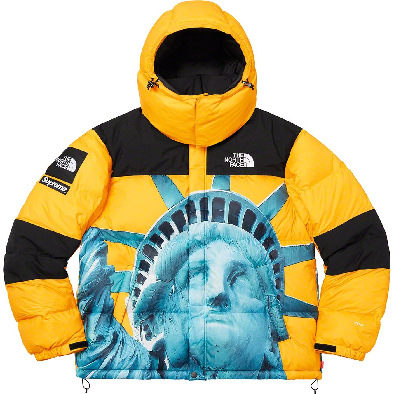 【希少】Supreme®/The North Face® Statue of Liberty Baltoro Jacket