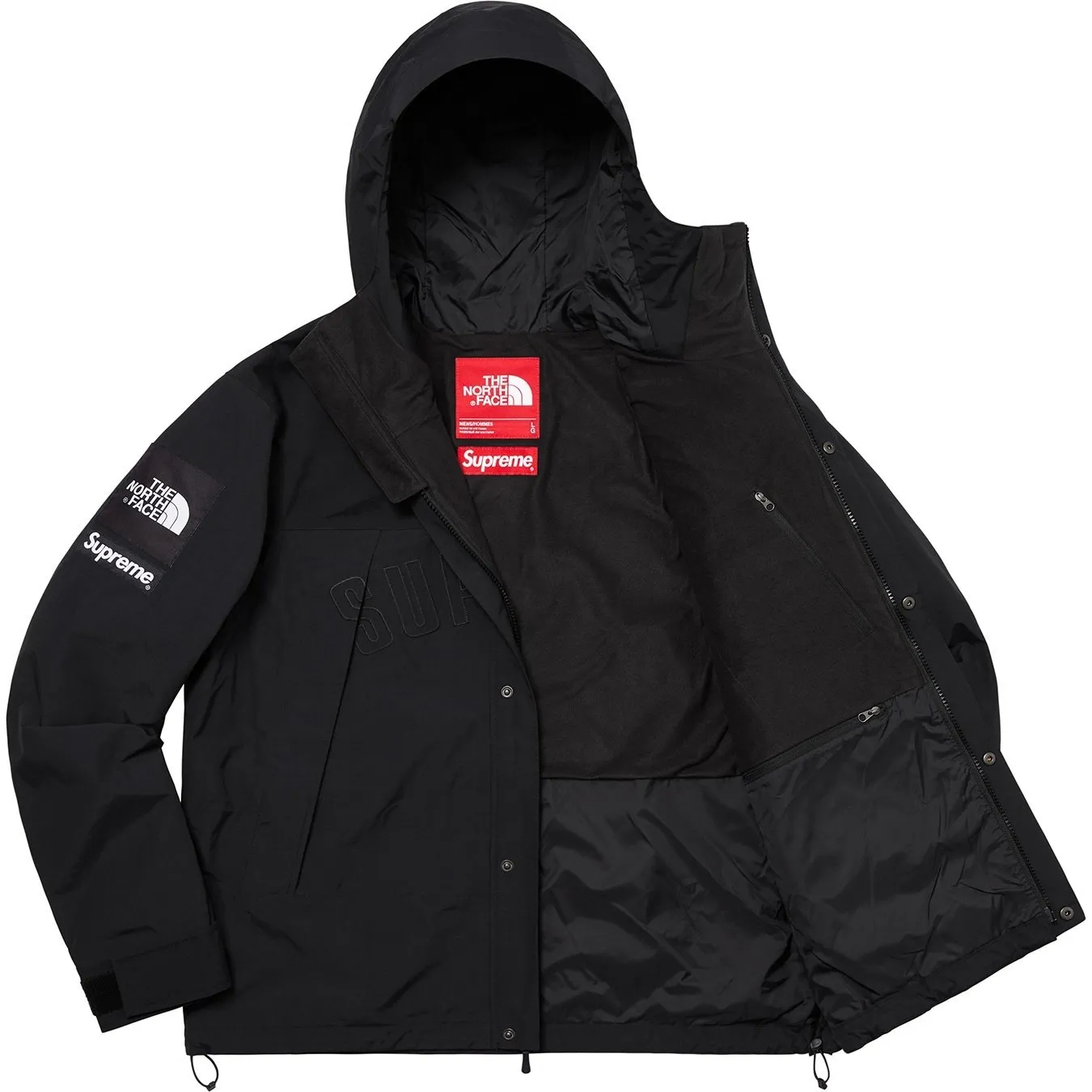 Supreme®/The North Face® Arc Logo Mountain Parka