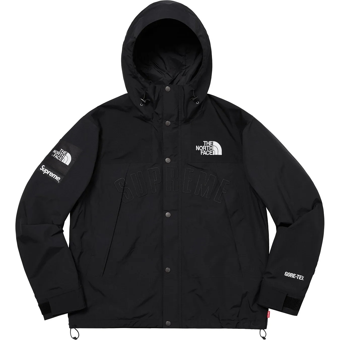 Supreme®/The North Face® Arc Logo Mountain Parka