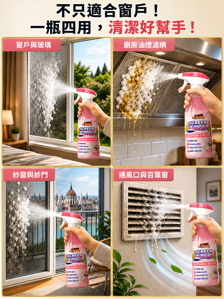 Multi-functional window screen cleaner