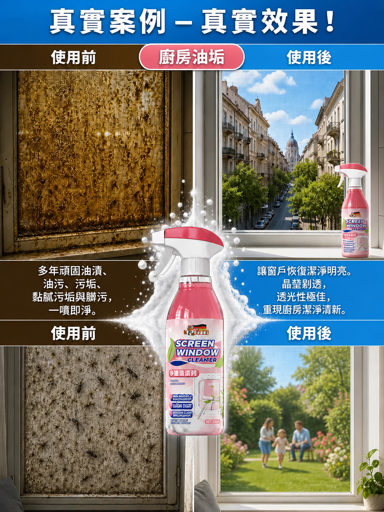 Multi-functional window screen cleaner