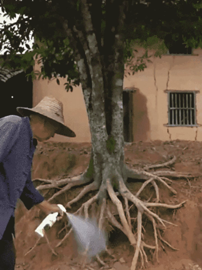 Fast-Acting Weed & Bamboo Removal Spray, 1 Application, 5 Years Weed-Free!【One capful diluted in 60 liters of water can cover 1000 square meters! 100% glyphosate-free, 8 times more effective!】