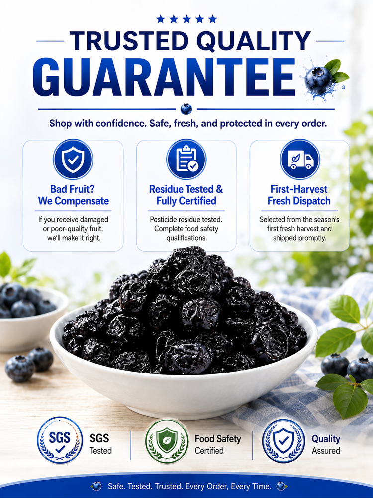 [Recommended by a renowned American ophthalmologist] Sugar-free dried blueberries >Made from 100% fresh wild blueberries selected from sun-drenched, high-latitude regions! Crafted using a 72-hour low-temperature, slow-drying process to fully preserve both