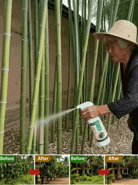 Fast-Acting Weed & Bamboo Removal Spray, 1 Application, 5 Years Weed-Free!【One capful diluted in 60 liters of water can cover 1000 square meters! 100% glyphosate-free, 8 times more effective!】