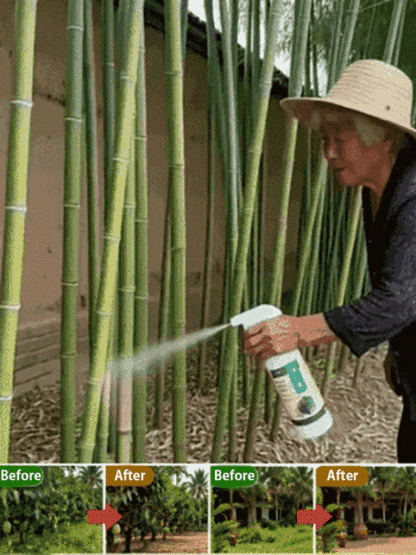 Fast-Acting Weed & Bamboo Removal Spray, 1 Application, 5 Years Weed-Free!【One capful diluted in 60 liters of water can cover 1000 square meters! 100% glyphosate-free, 8 times more effective!】