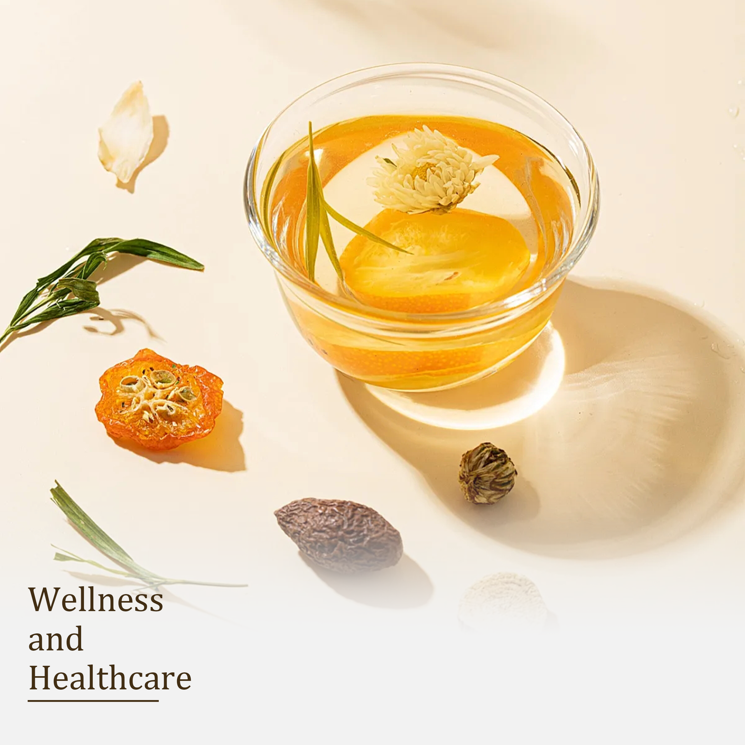 Wellness and Healthcare