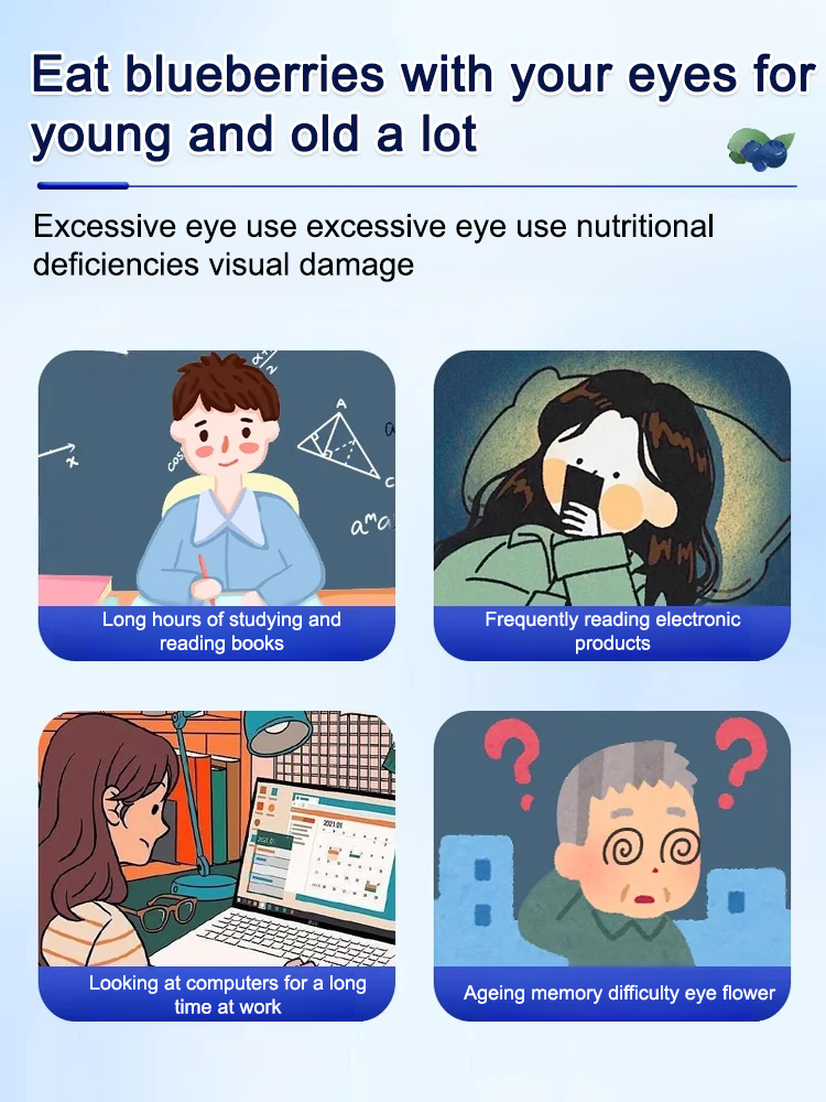 Premium Sugar-Free Taiwanese Blueberry Dried Fruit